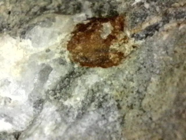 Close-up microscope picture of ore: a rust-brown mineral spot in white and grey quartz.
